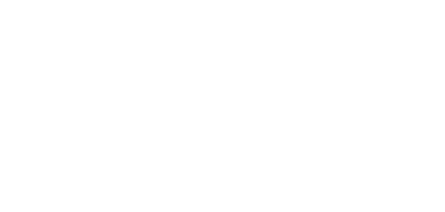 Gray Stunts